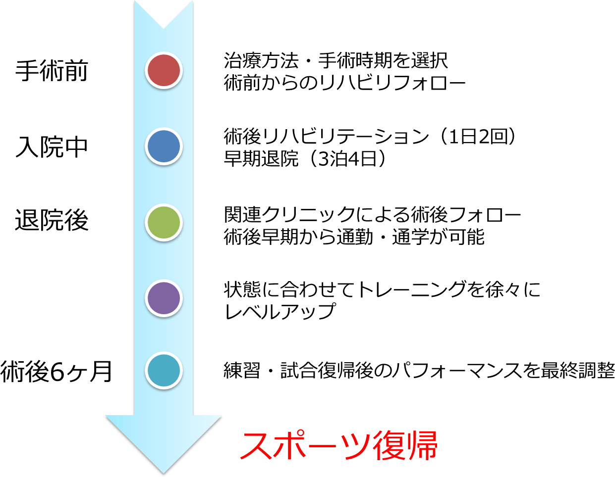 手術前からスポーツ復帰までの流れ