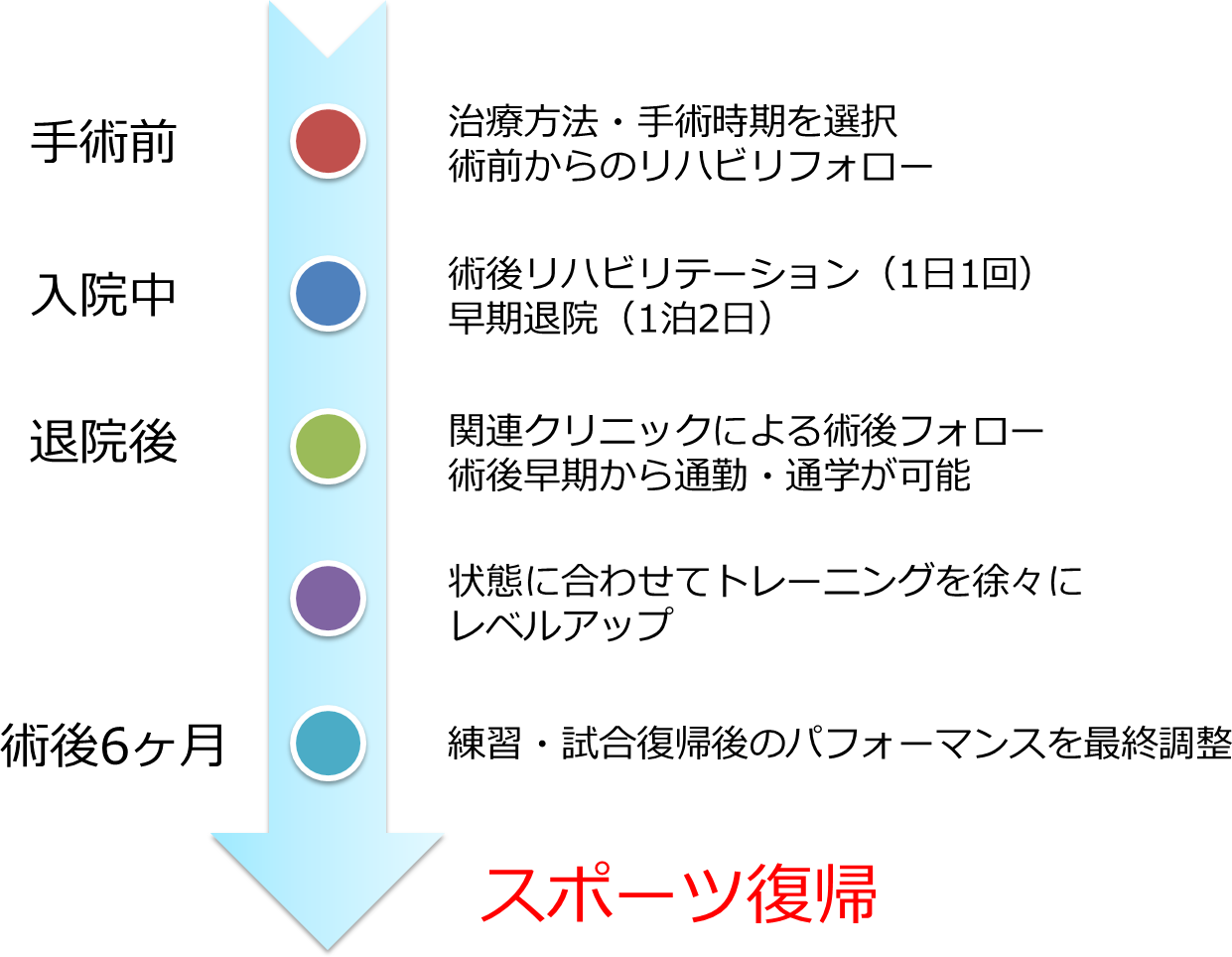 手術前からスポーツ復帰までの流れ